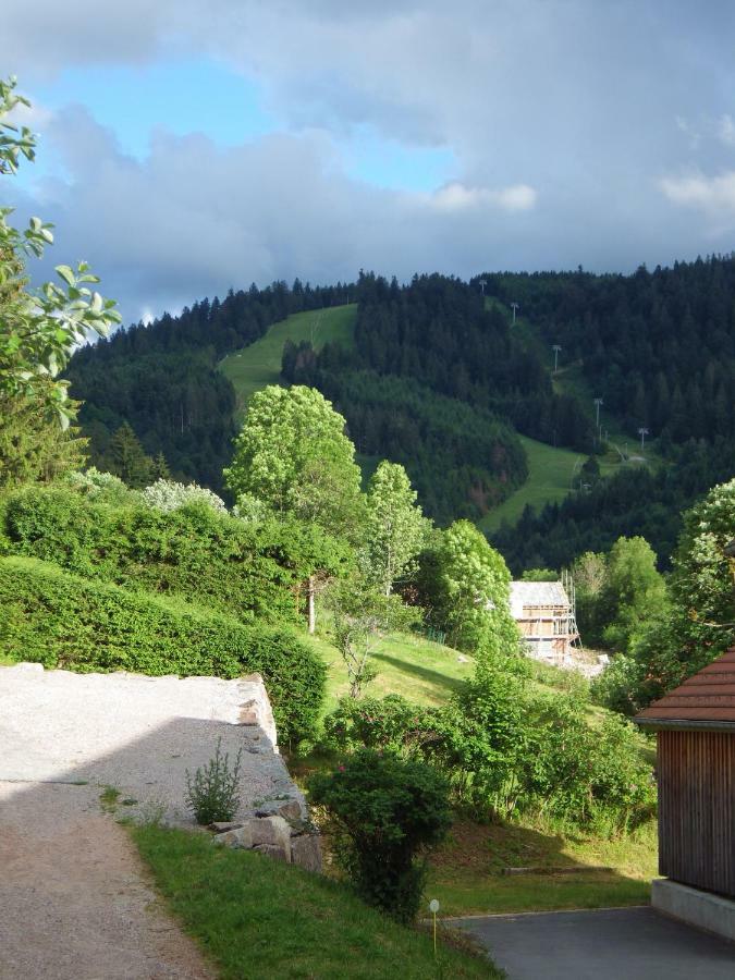 Au Grenier Du Lac Gérardmer Exterior photo